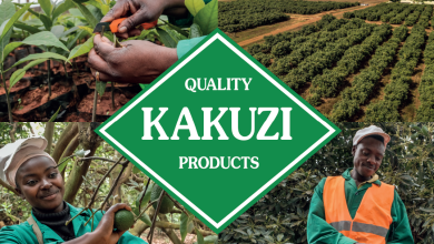 kakuzi-half-year-profits-triple-on-higher-macadamia,-avocado-revenue 