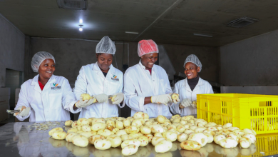 food-processor-gaea-foods-becomes-first-beneficiary-of-e20mn-pepea-fund