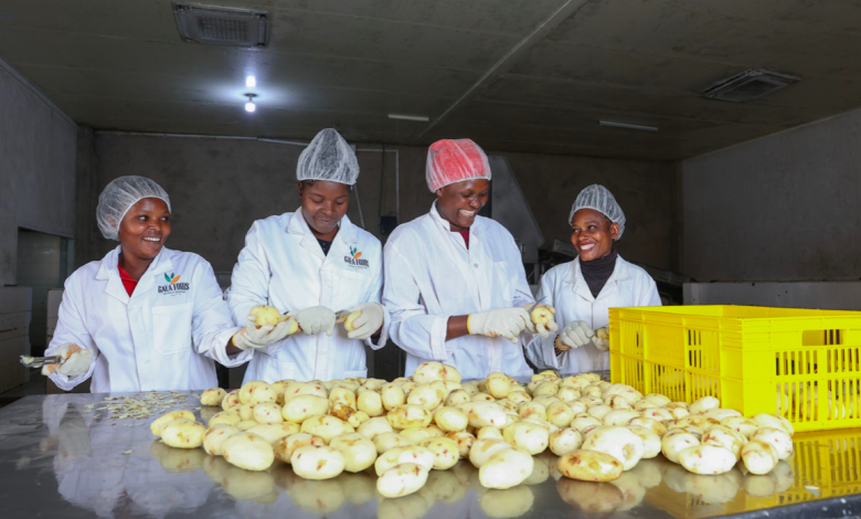 food-processor-gaea-foods-becomes-first-beneficiary-of-e20mn-pepea-fund