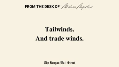 op-ed:-tailwinds,-and-trade-winds