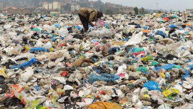 nema-proposes-color-coding-for-waste-segregation