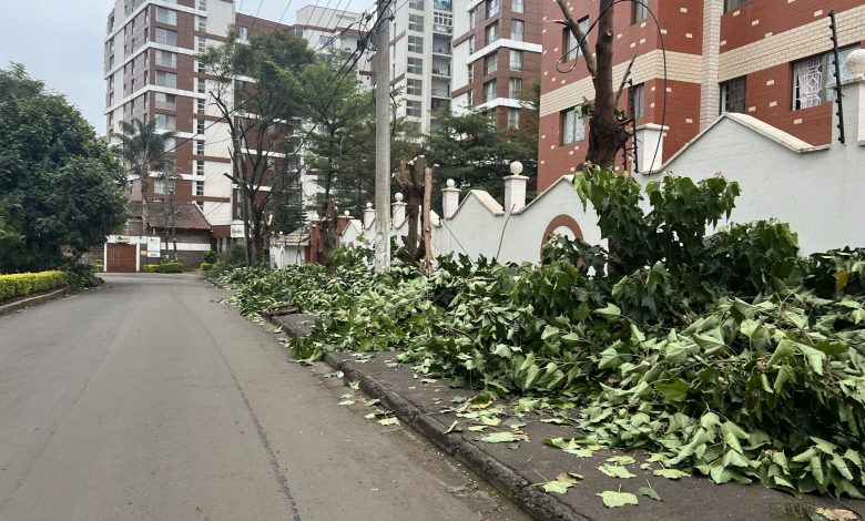 kplc-leaves-debris-from-butchered-trees-–-nairobi-residents-decry-lost-property-value