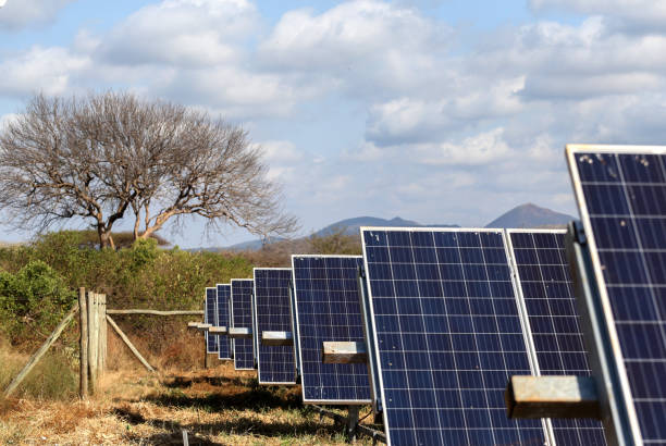 kengen-to-add-42.5mw-of-solar-energy-in-seven-forks