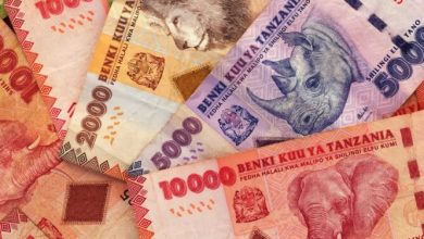 tanzania-steps-up-dollar-control-to-save-local-currency