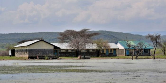 pupils-in-fear-as-hippos-roam-freely-near-school-compound