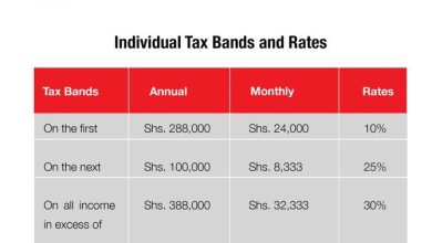 understanding-pay-as-you-earn-(paye)-tax