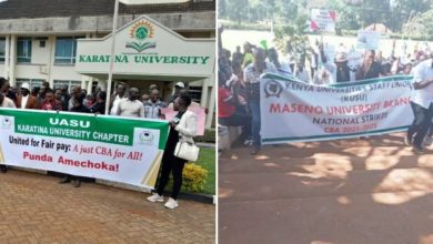 court-issues-ruling-on-lecturers-strike