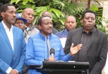 kalonzo-issues-2-demands-to-ruto-after-release-of-kitengela-3