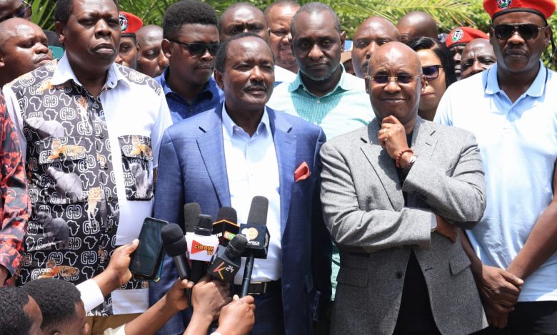 kalonzo-cancels-2-rallies-amid-claims-of-police-blocking-him-from-accessing-church