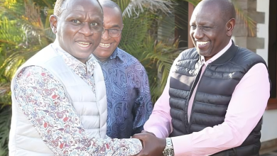 ex-jubilee-mp-rejects-appointment-by-ruto-to-chair-parastatal